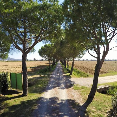Terra Di Cortona Villa Exterior foto