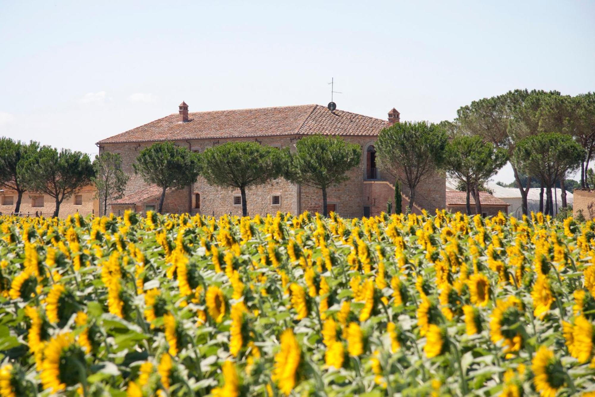 Terra Di Cortona Villa Exterior foto