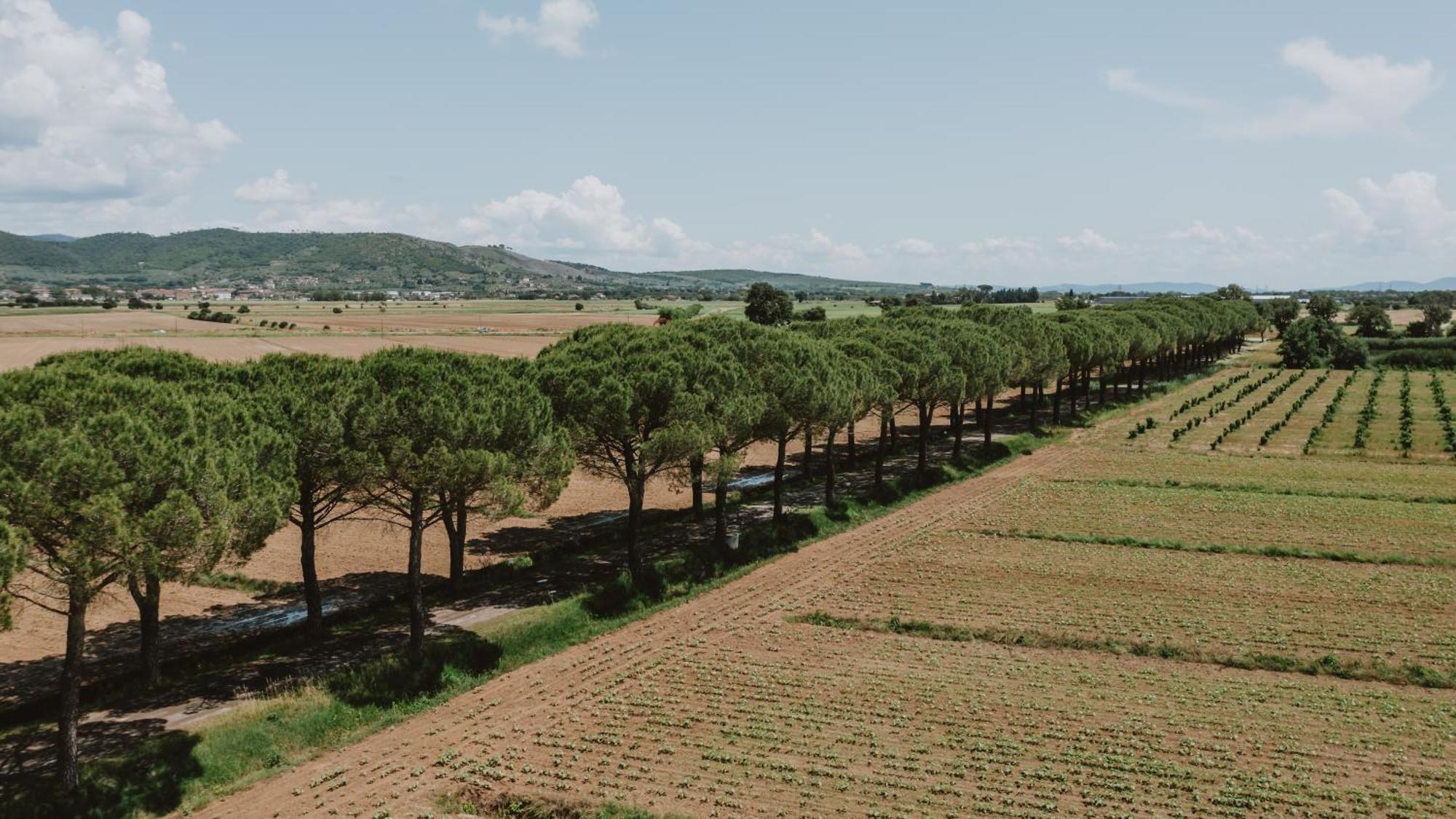 Terra Di Cortona Villa Exterior foto
