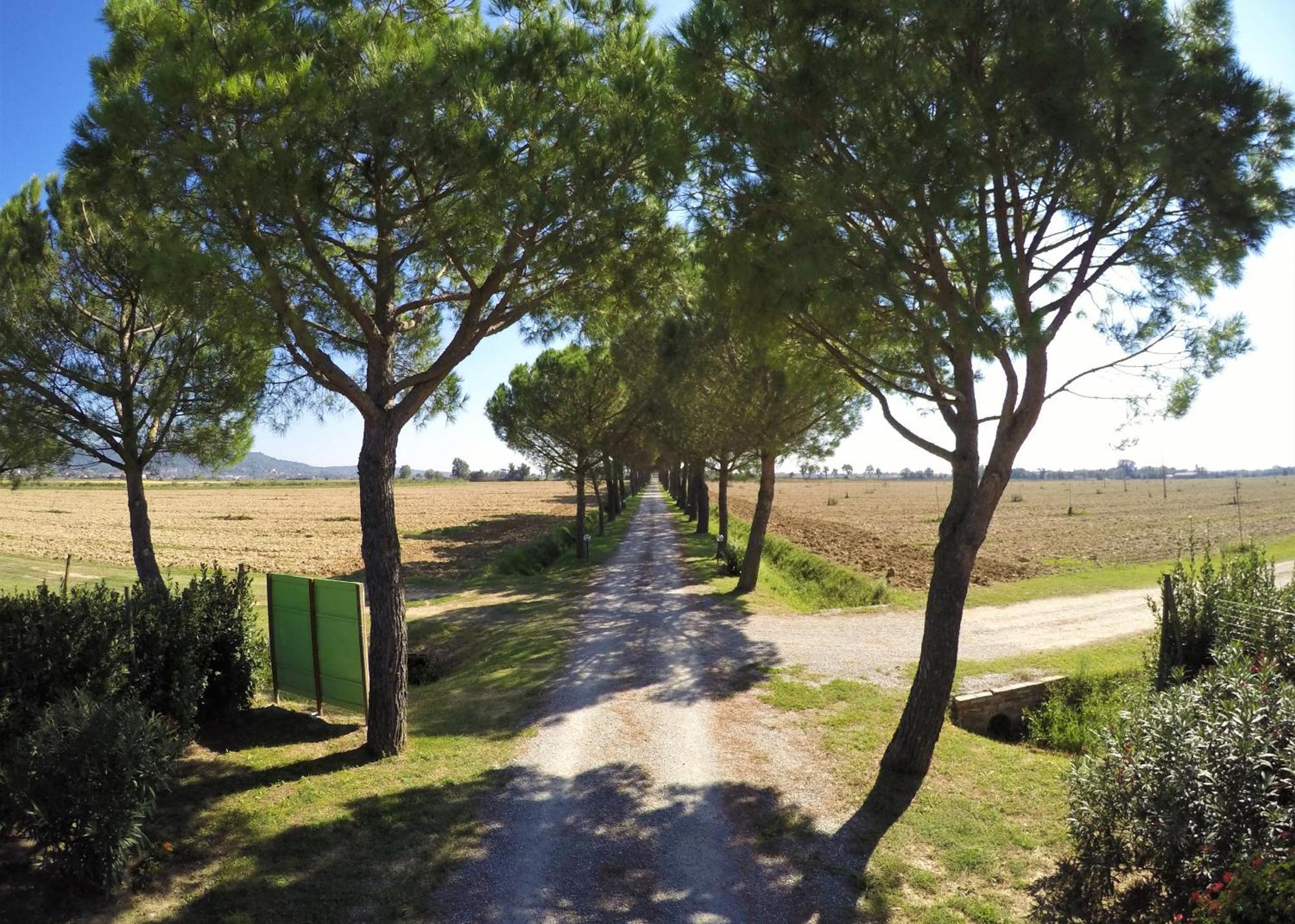 Terra Di Cortona Villa Exterior foto